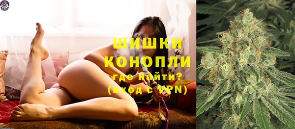 apvp Белокуриха