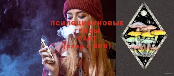 apvp Белокуриха